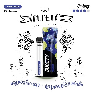 Dudety-2500-Blueberry-Lime doodpods