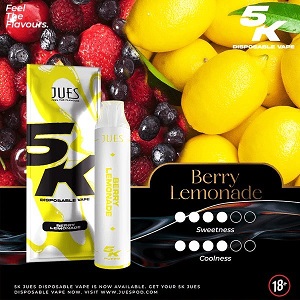 Jeus-5000-Berry-Lemonade doodpods