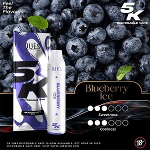 Jeus-5000-Blueberry-Ice doodpods