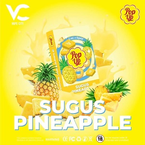 Pop-Up-Pod-Sugus-Pineapple doodpods